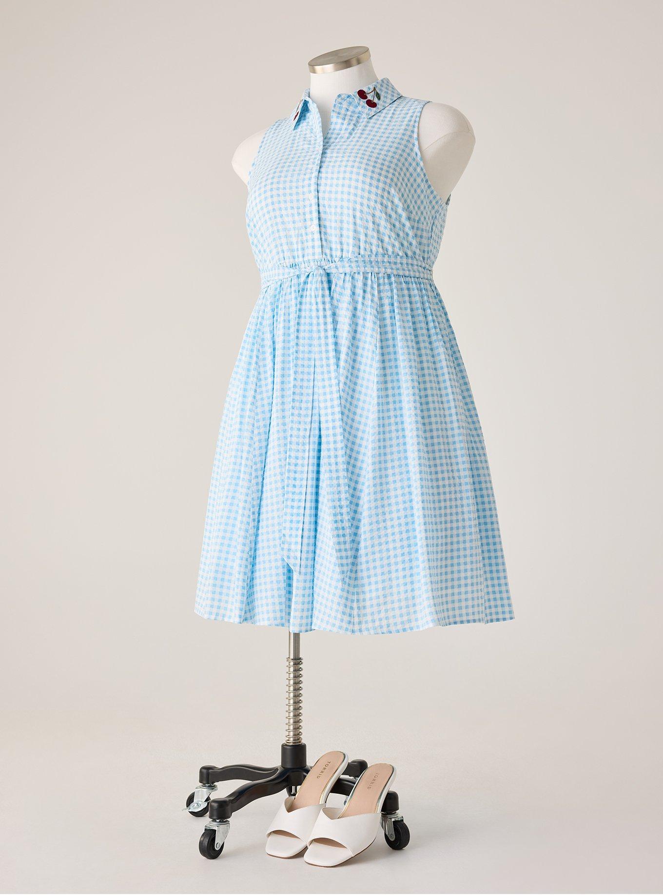 Plus Size Retro Chic Collared Knee Length Dress, DEAREST GINGHAM BLUE, flat
