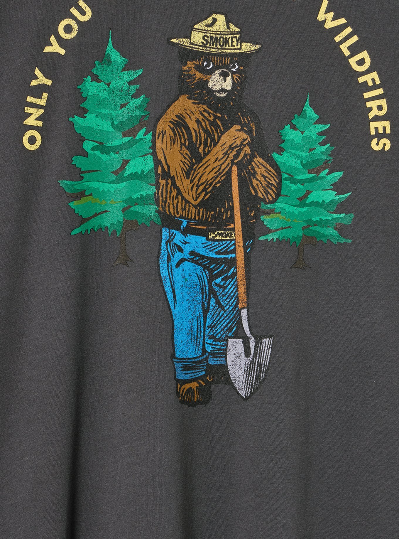 Smokey the Bear Classic Cotton Jersey Tee, SMOKEY ONLY YOU VINTAGE BLACK, alternate