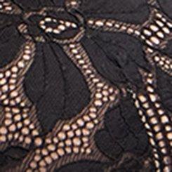 Plus Size Plunge Push-Up Ava Lace Bra, RICH BLACK, swatch