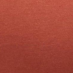Foxy Lace Trim V-Neck Cami, ROASTED RUSSET, swatch