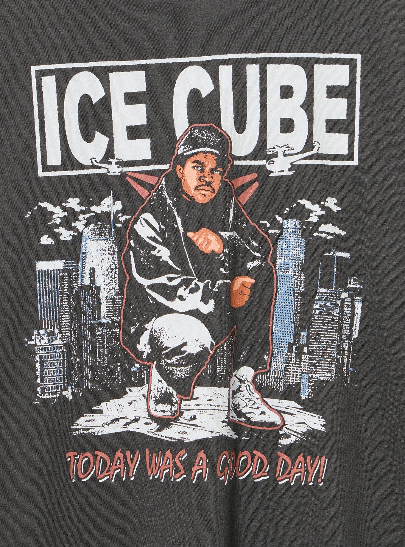 Ice Cube Classic Cotton Crew Tee, VINTAGE BLACK, alternate