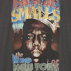 Plus Size Biggie Smalls Classic Cotton Crew Tee, VINTAGE BLACK, swatch