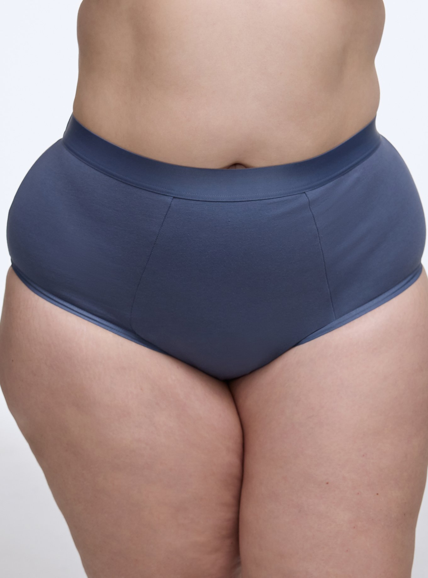 Leak Protection Cotton Mid-Rise Brief Panty, NIGHTSHADOW BLUE, hi-res
