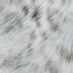 Studio Faux Fur Coat, IRL CHEETAH GREY, swatch
