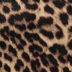 Super Soft Plush Henley Sweatshirt, ON THE PROWL LEOPARD MULTI, swatch