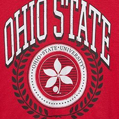 Ohio State Fleece Sweatshirt, RED, swatch