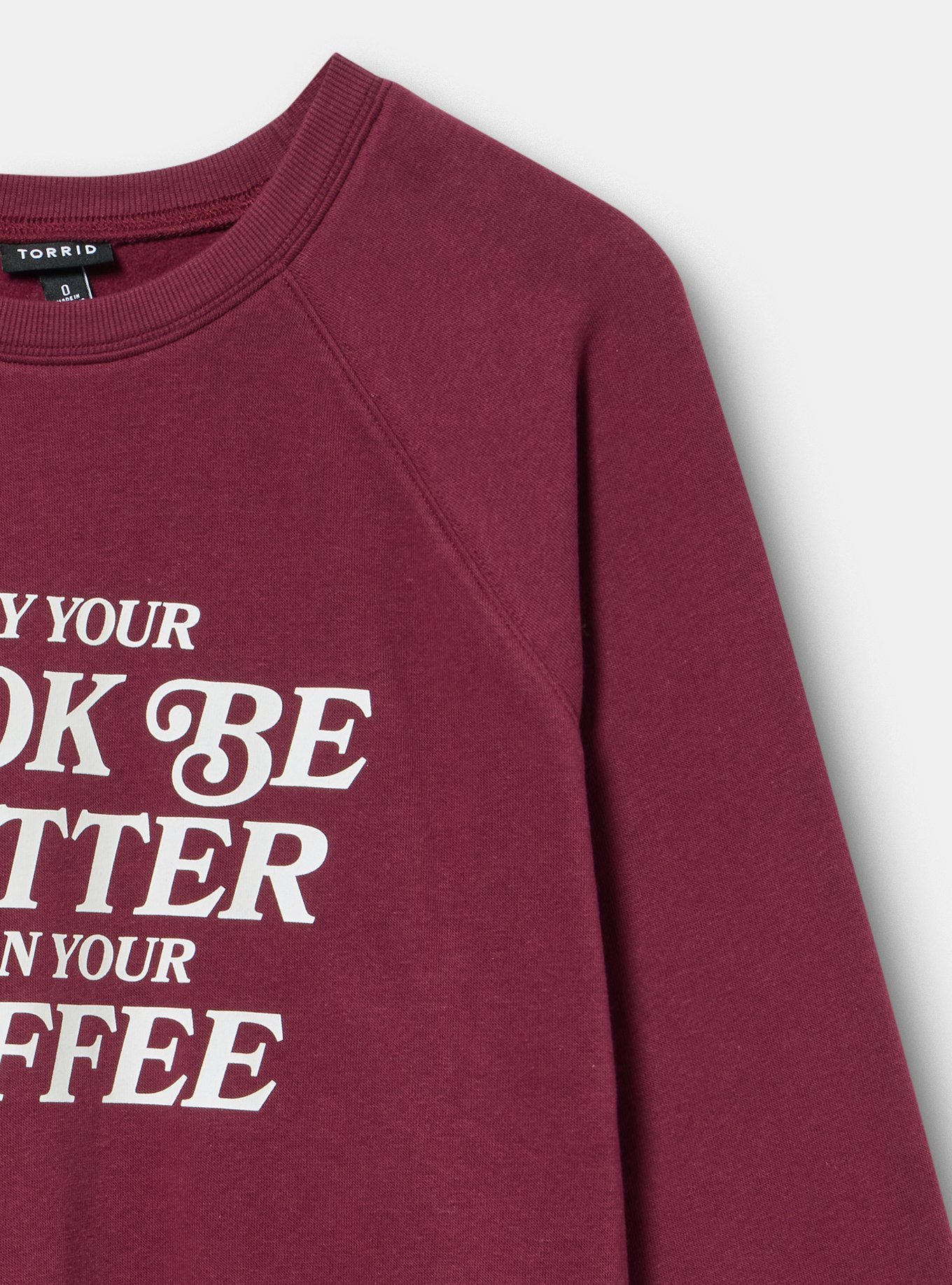 Plus Size Relaxed Cozy Fleece Sweatshirt, BOOK HOTTER THAN COFFEE MAROON BANNER, alternate