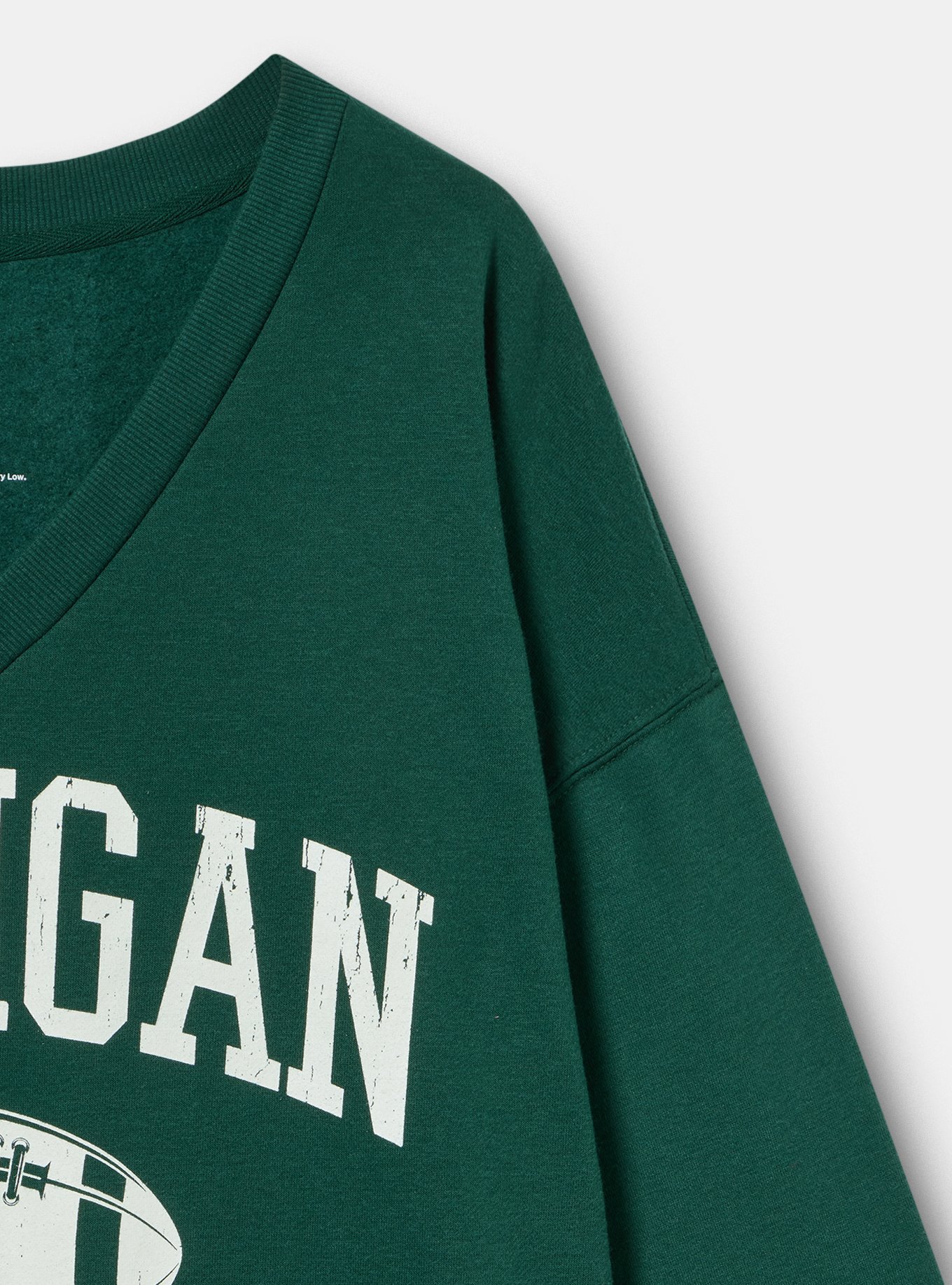 Michigan State Fleece Sweatshirt, GREEN, alternate
