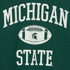 Michigan State Fleece Sweatshirt, GREEN, swatch