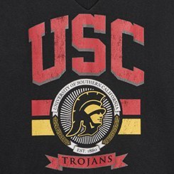 USC V-Neck Fleece Sweatshirt, DEEP BLACK, swatch